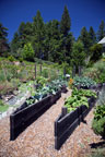 Sunrise Ridge Gardens