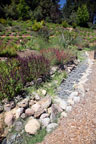 Sunrise Ridge Gardens