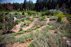 Sunrise Ridge Gardens