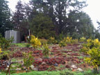 Sunrise Ridge Gardens