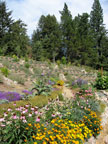 Sunrise Ridge Gardens