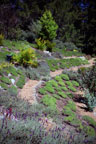 Sunrise Ridge Gardens