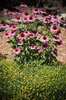 Sunrise Ridge Gardens