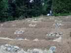 Sunrise Ridge Gardens
