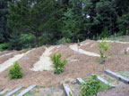 Sunrise Ridge Gardens