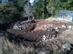 The Backyard