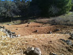 The Backyard