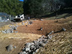 The Backyard