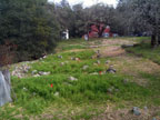 The Backyard