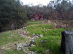 The Backyard