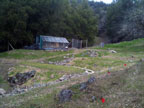 The Backyard