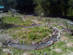 The Backyard