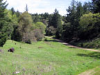 The Backyard