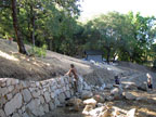 The Backyard