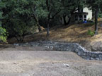 The Backyard