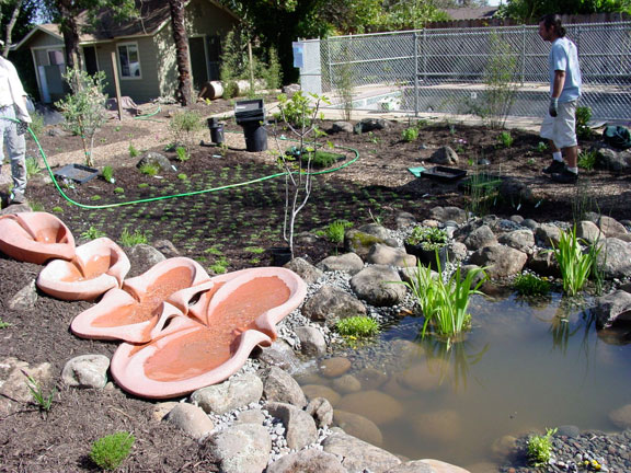 Healdsburg Spa
