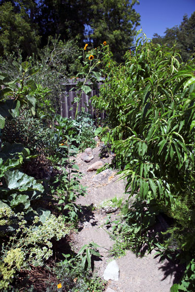 Permaculture Neighborhood Center