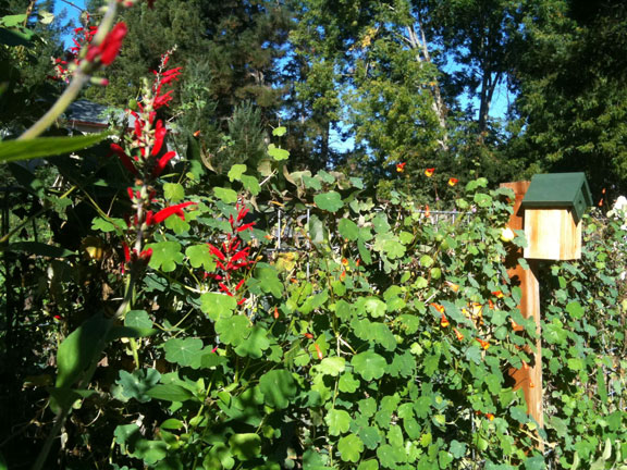Permaculture Neighborhood Center