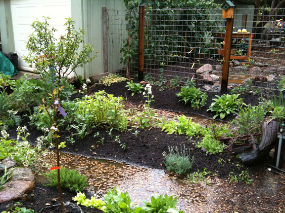 Permaculture Neighborhood Center