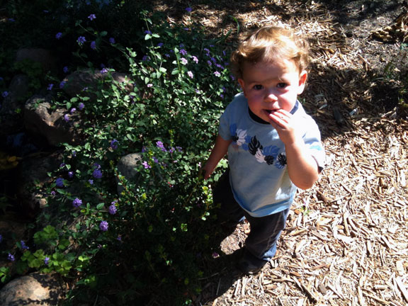 Permaculture Neighborhood Center