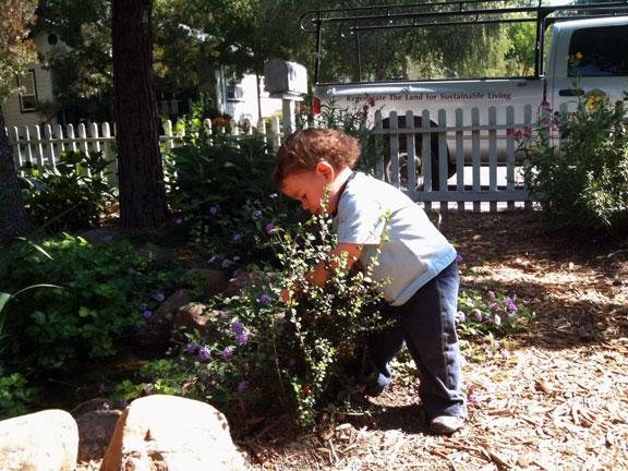 Permaculture Neighborhood Center