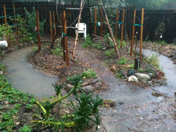 Permaculture Neighborhood Center