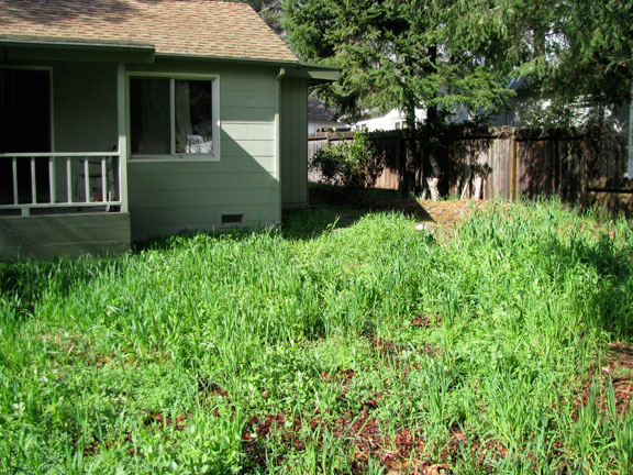 Permaculture Neighborhood Center