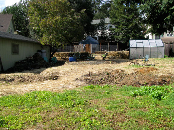 Permaculture Neighborhood Center