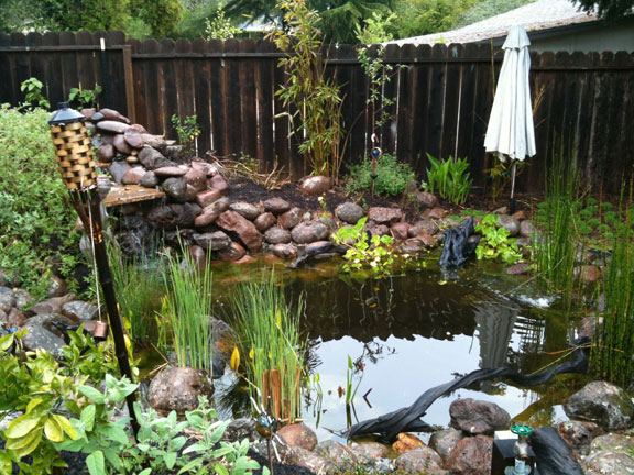 Permaculture Neighborhood Center