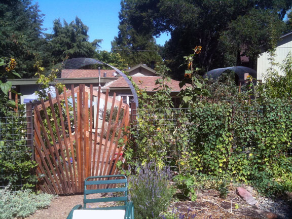 Permaculture Neighborhood Center