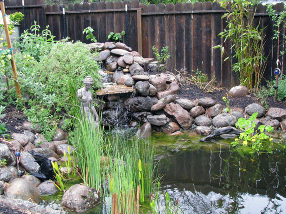 Permaculture Neighborhood Center