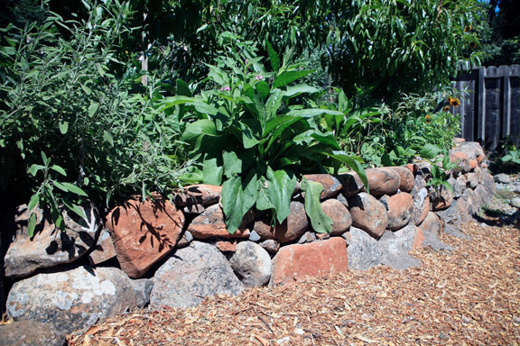 Permaculture Neighborhood Center