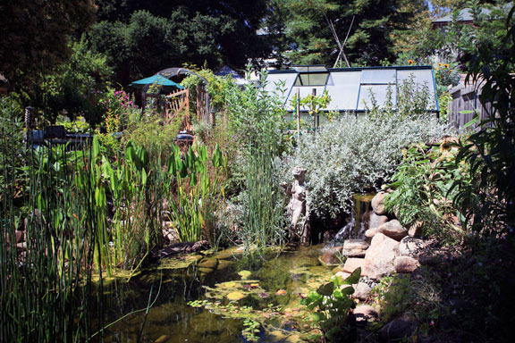 Permaculture Neighborhood Center