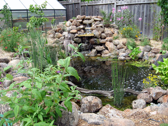 Permaculture Neighborhood Center