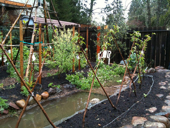 Permaculture Neighborhood Center
