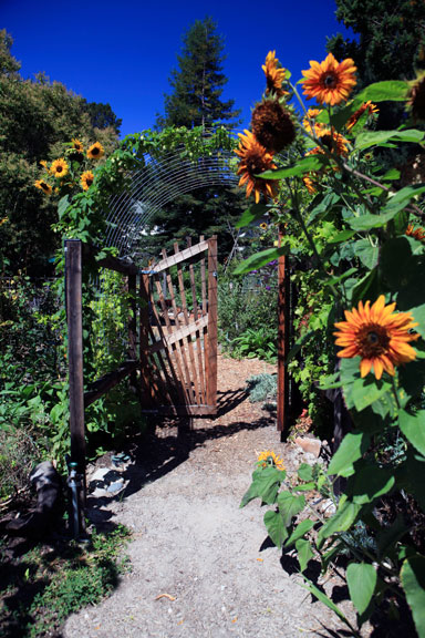 Permaculture Neighborhood Center
