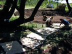 Skipstone Ranch
