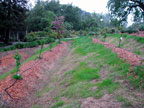 Skipstone Ranch