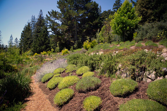Sunrise Ridge Gardens