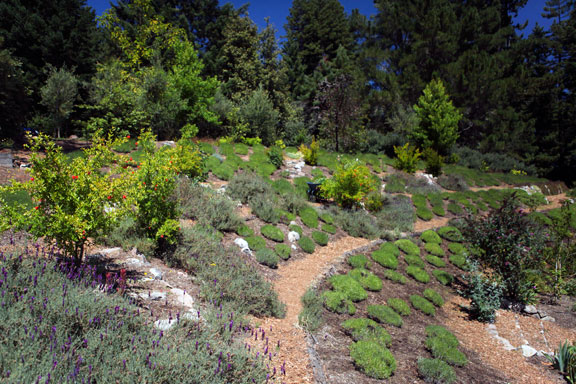 Sunrise Ridge Gardens
