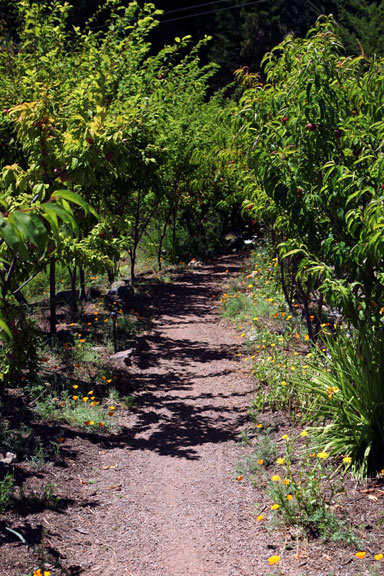 Sunrise Ridge Gardens