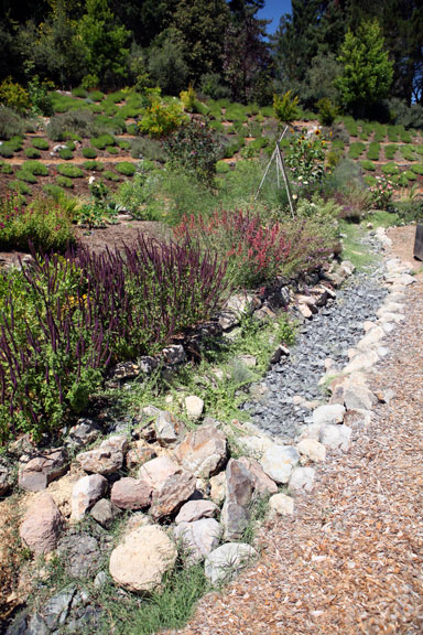 Sunrise Ridge Gardens