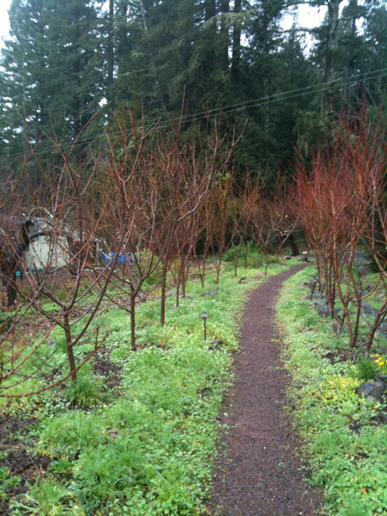Sunrise Ridge Gardens