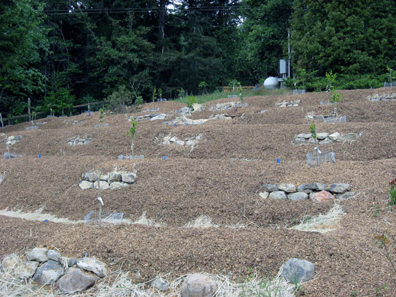 Sunrise Ridge Gardens