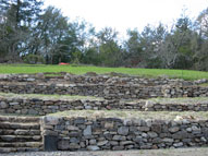 permaculture garden