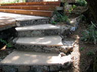 permaculture garden