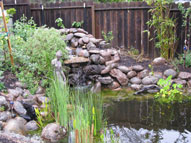 permaculture garden