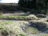 permaculture garden