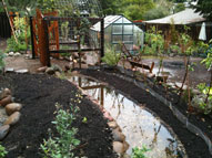 permaculture garden