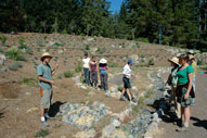 permaculture garden